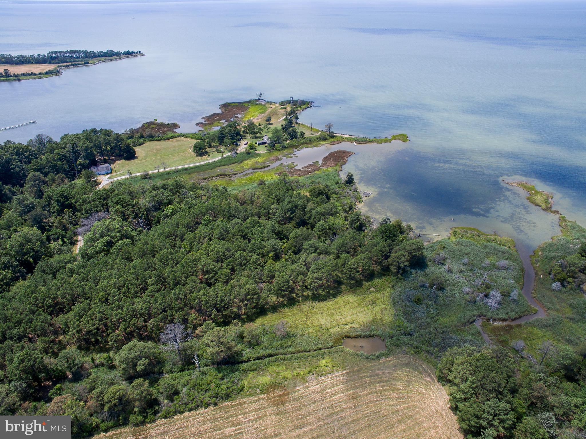 Hoopers Neck Road Taylors Island, MD 21669 - Photo 8 of 28