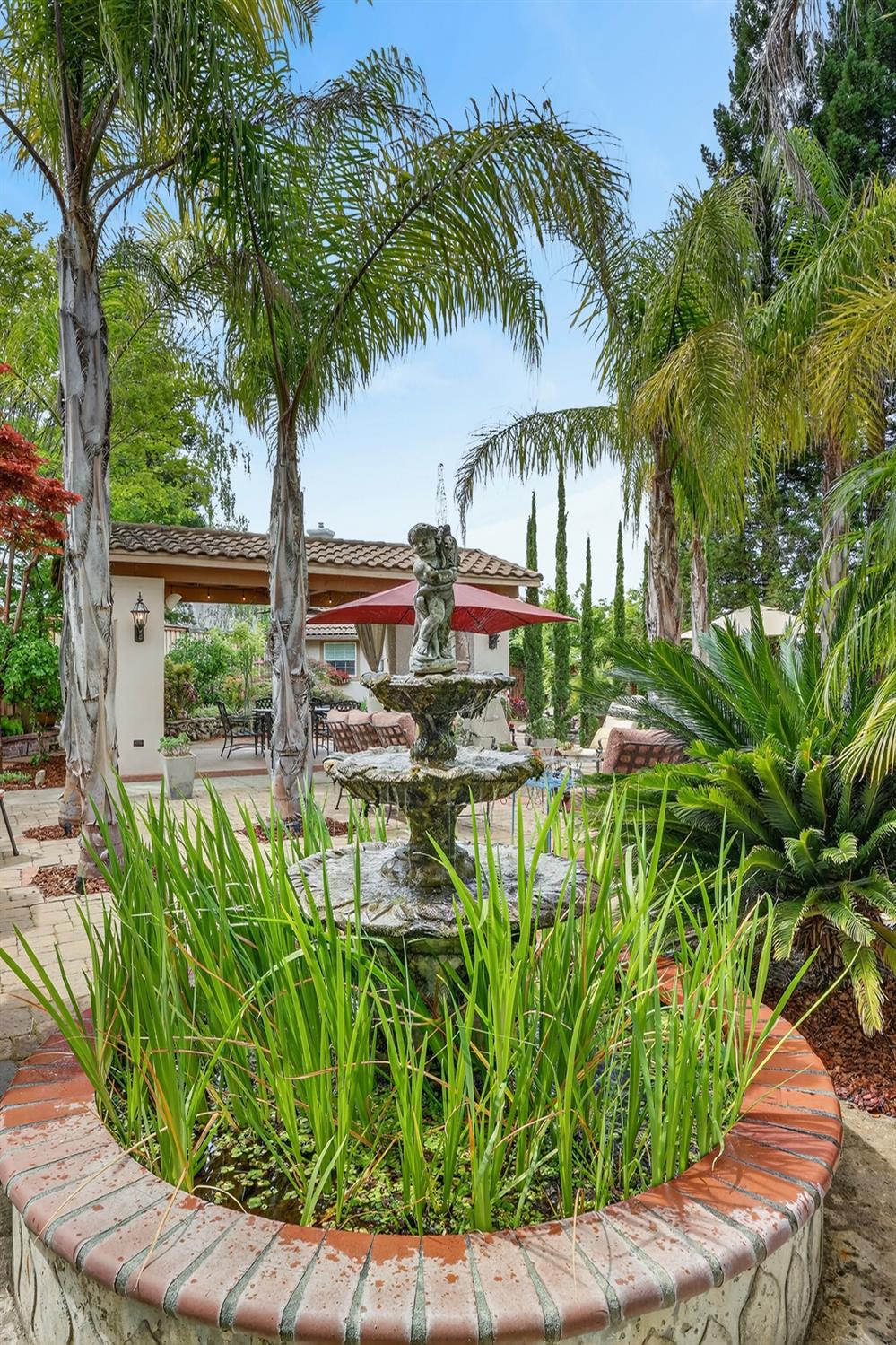 1203 Halidon Way Folsom, CA 95630 - Photo 55 of 98 a view of a garden with a bench