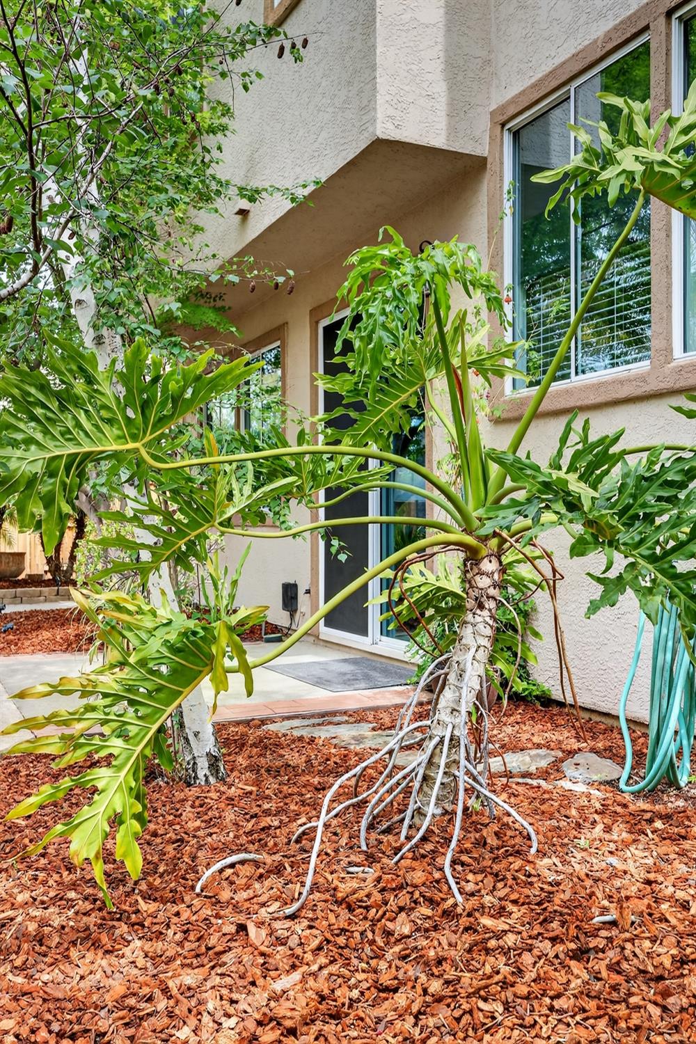 1203 Halidon Way Folsom, CA 95630 - Photo 57 of 98