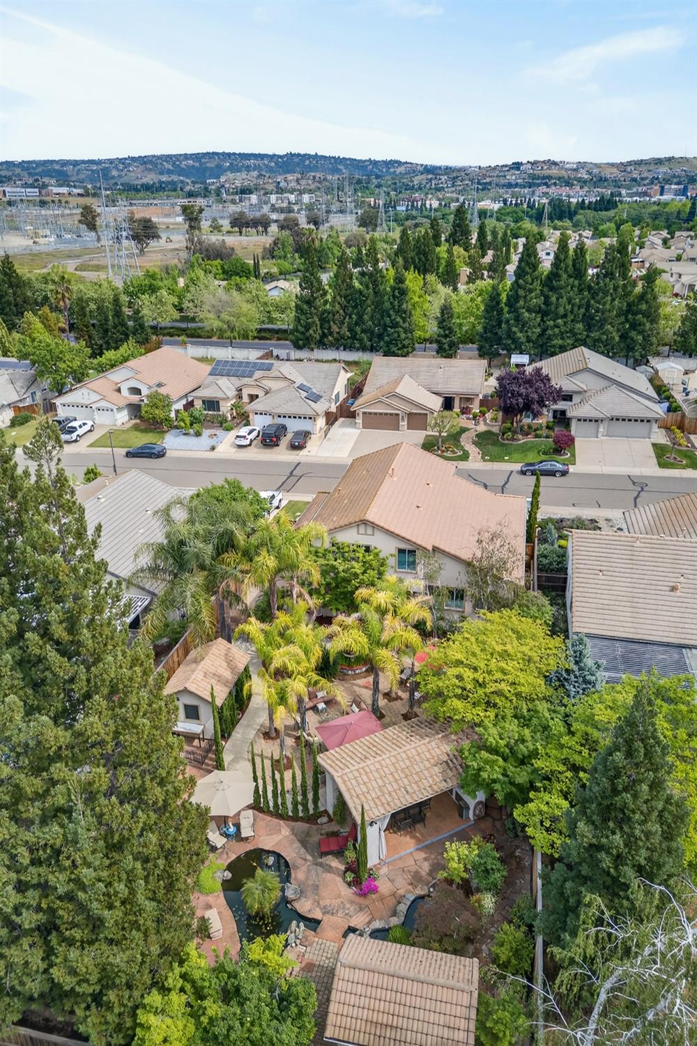1203 Halidon Way Folsom, CA 95630 - Photo 93 of 98 an aerial view of residential houses with outdoor space and river
