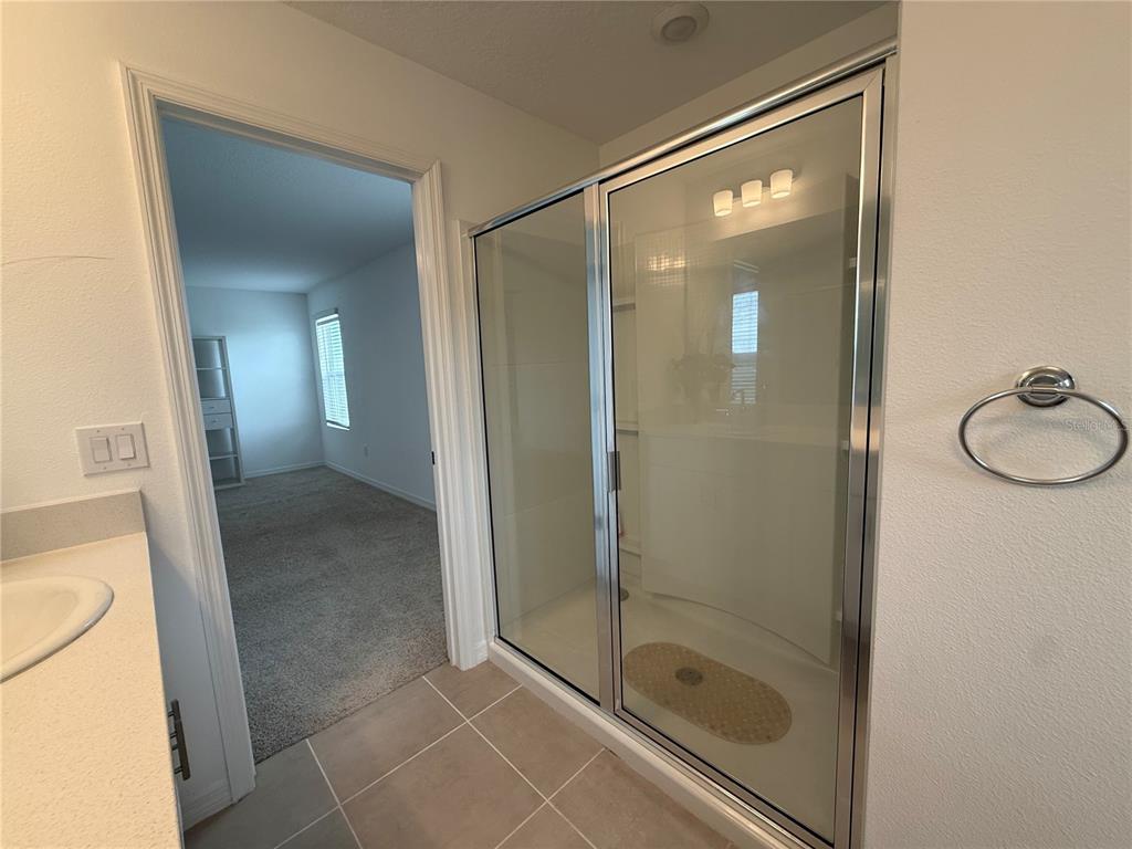 6431 Milestone Loop Palmetto, FL 34221 - Photo 12 of 28 a bathroom with a glass shower door