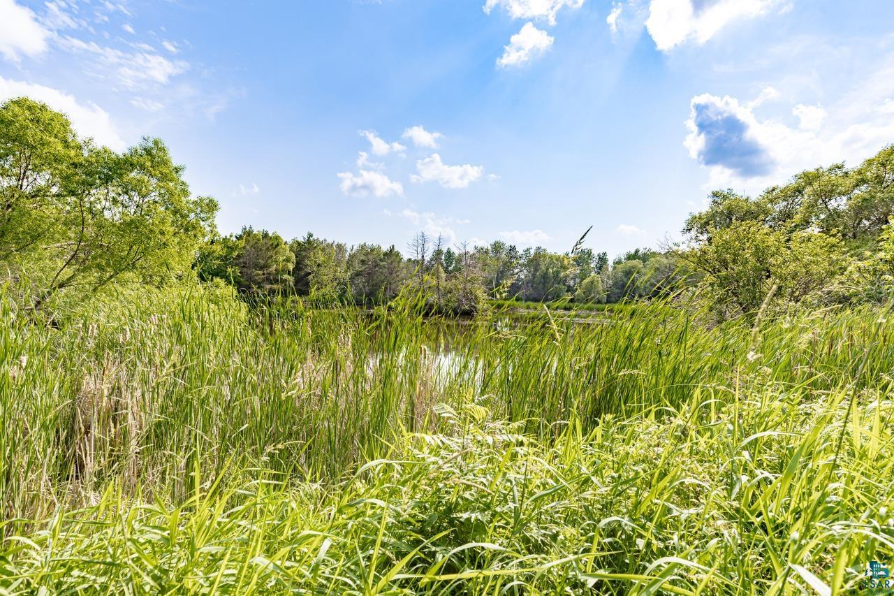 4800 Tower Road Moose Lake, MN 55767 - Photo 49 of 83 Natural water feature bordered by dense reeds and lush green foliage