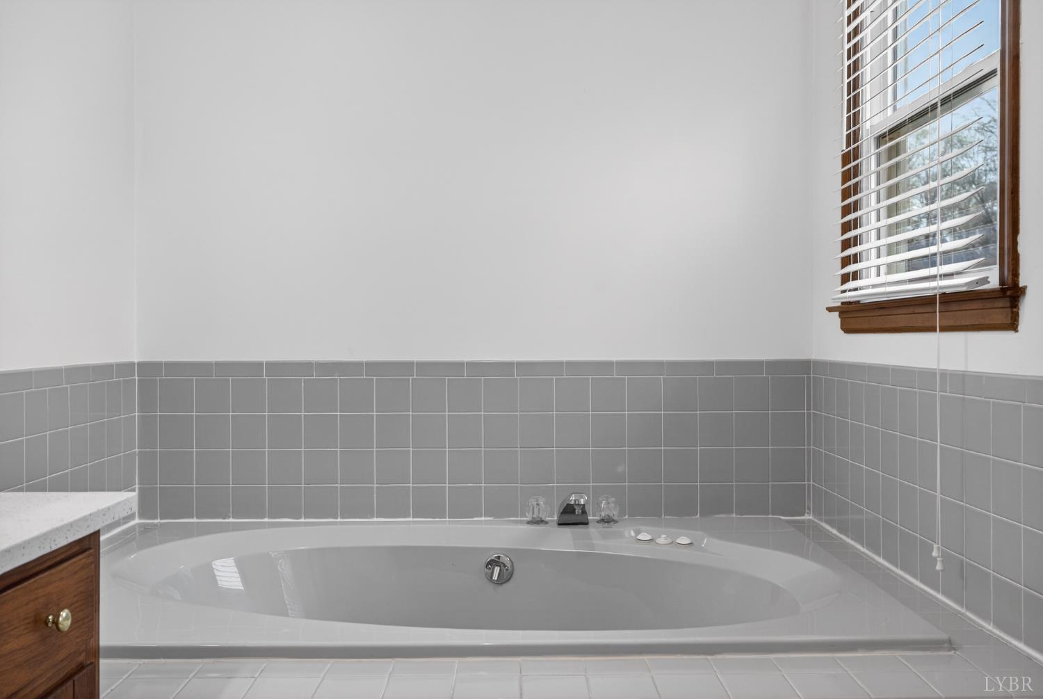 1529 Bateman Bridge Road Forest, VA 24551 - Photo 26 of 44