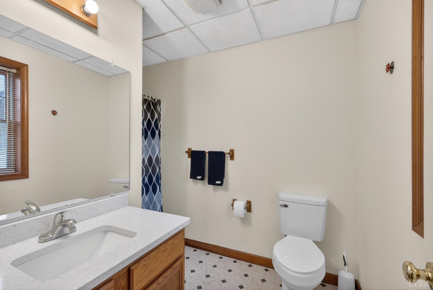 1529 Bateman Bridge Road Forest, VA 24551 - Photo 31 of 44