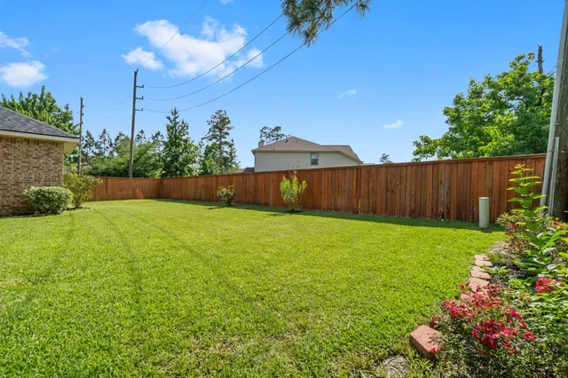 a view of a backyard