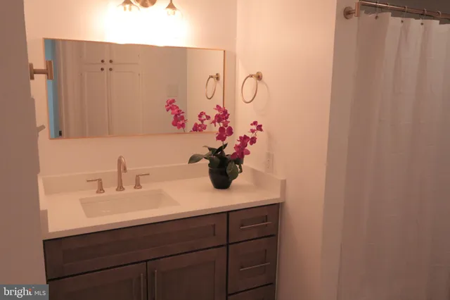 a bathroom with a sink vanity and a mirror