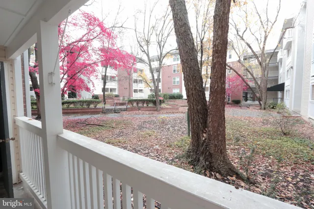 a view of a yard with a tree