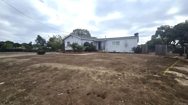 a view of dirt yard with a large tree