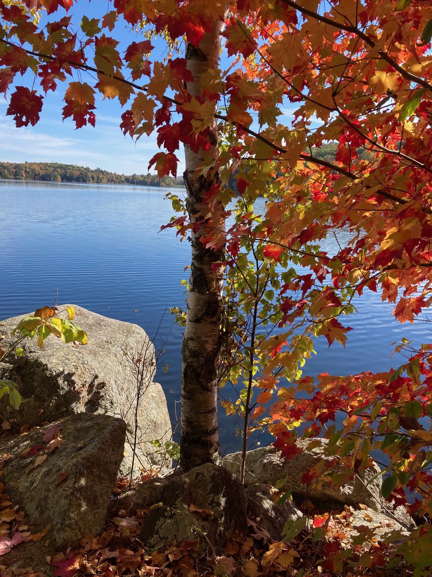 27 Spring Valley Drive Grantham, NH 03753 - Photo 18 of 19