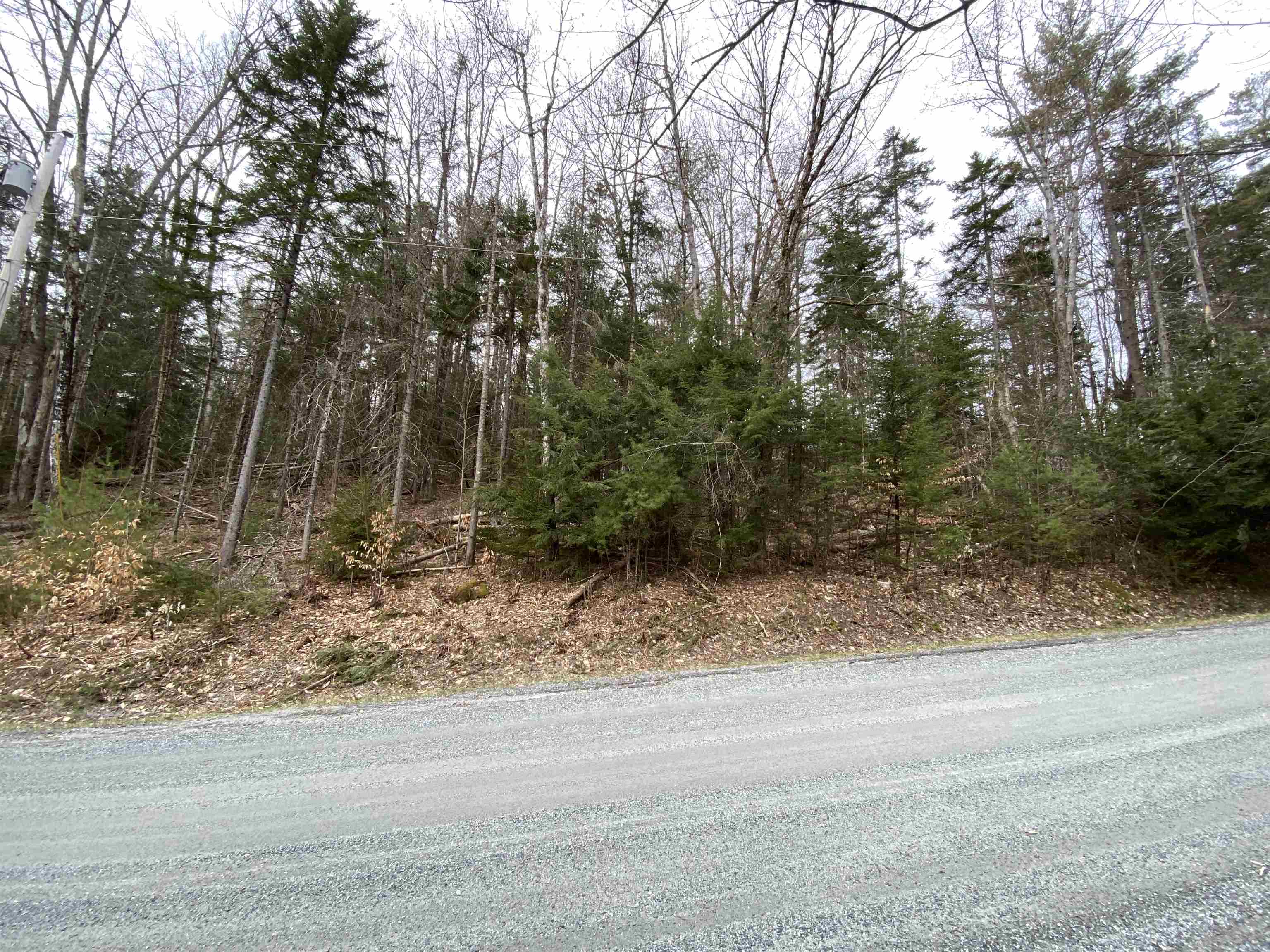 27 Spring Valley Drive Grantham, NH 03753 - Photo 3 of 21