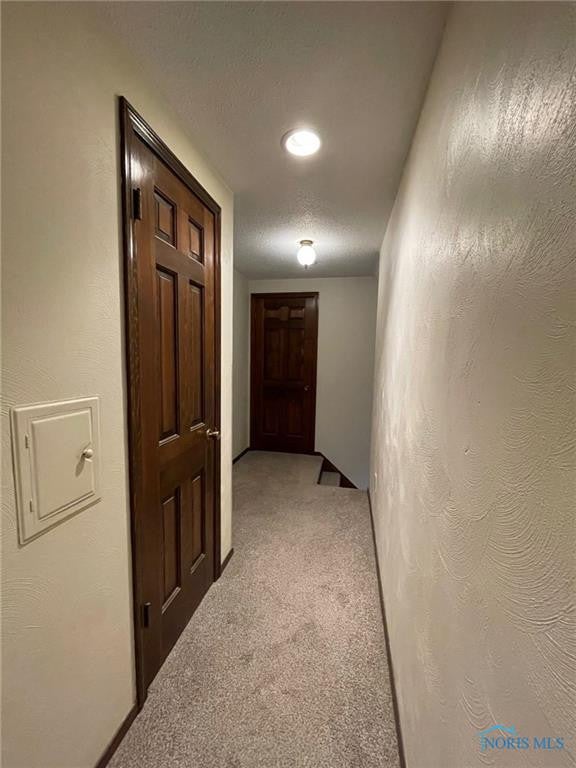 24425 Dunbridge Road Perrysburg, OH 43551 - Photo 26 of 37 Gallery Image 26