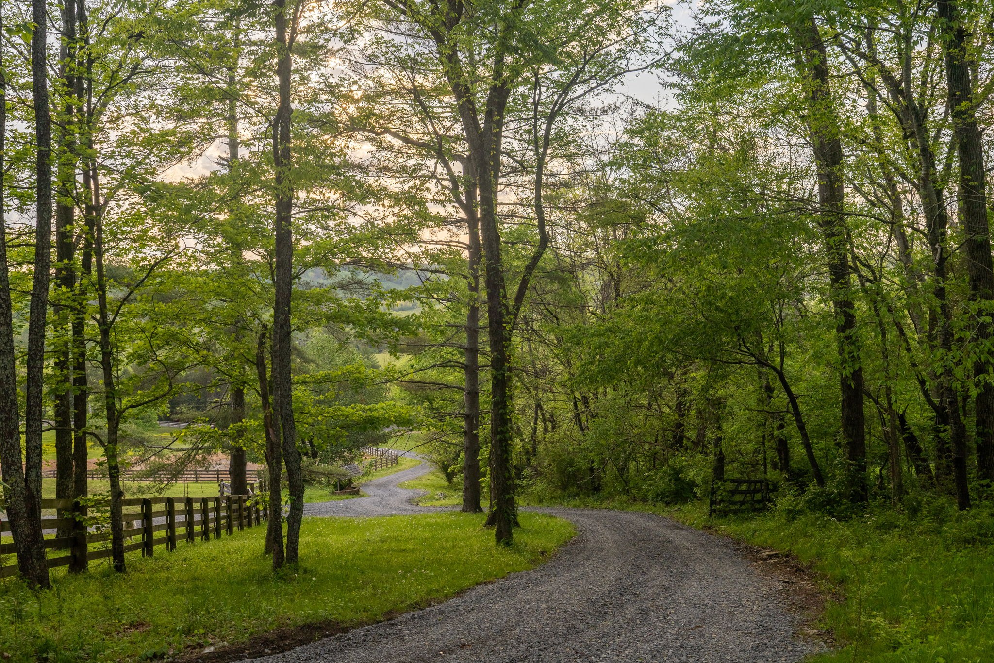 0 Sweeney Hollow Road Franklin, TN 37064 - Photo 13 of 36
