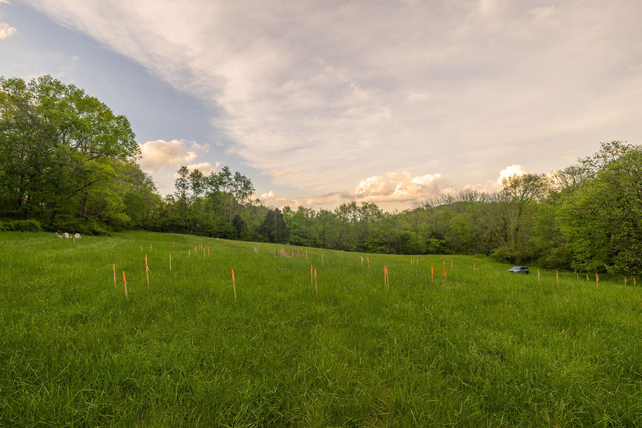 0 Sweeney Hollow Road Franklin, TN 37064 - Photo 17 of 36