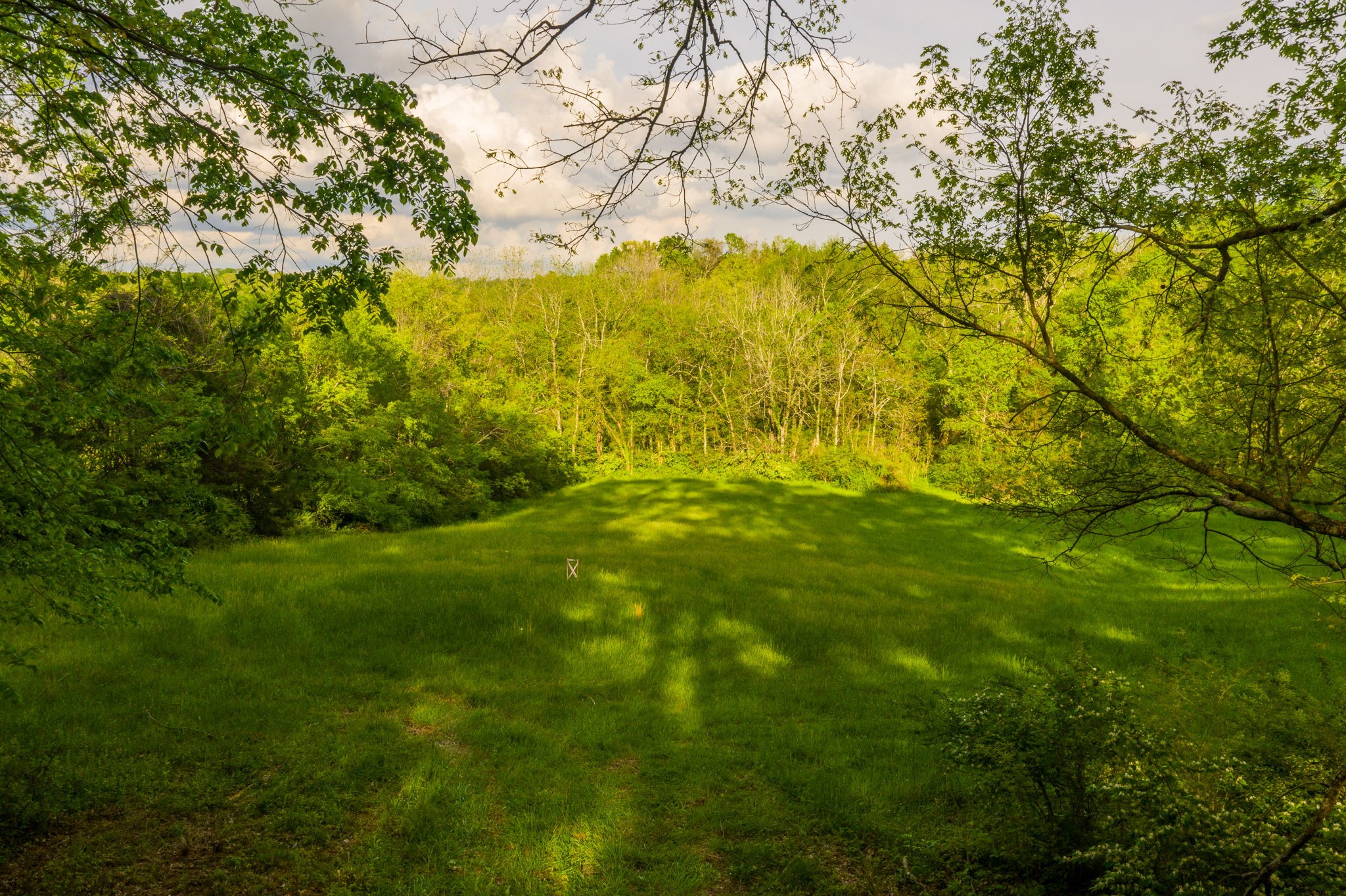 0 Sweeney Hollow Road Franklin, TN 37064 - Photo 20 of 36
