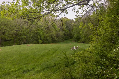 $1,675,000 | 0 Sweeney Hollow Road, Franklin, TN 37064