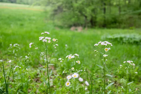 $1,675,000 | 0 Sweeney Hollow Road, Franklin, TN 37064