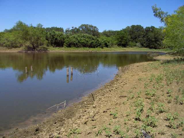 0 Molasses Road Dale, TX 78616 - Photo 1 of 1 Land