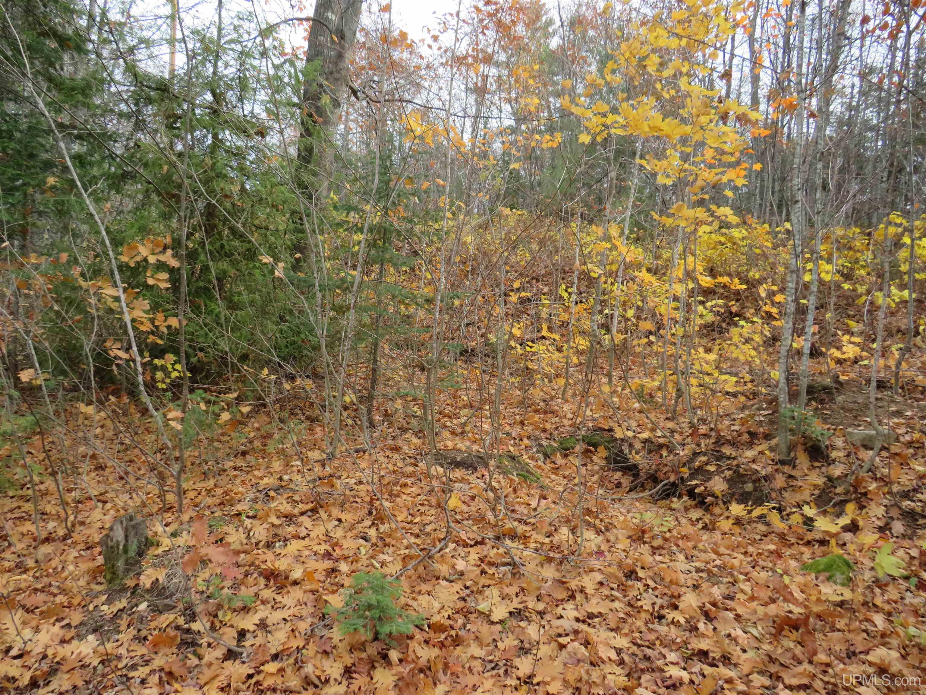 Parcel B Parcel B Washington Mine Road Mohawk, MI 49950 - Photo 15 of 24
