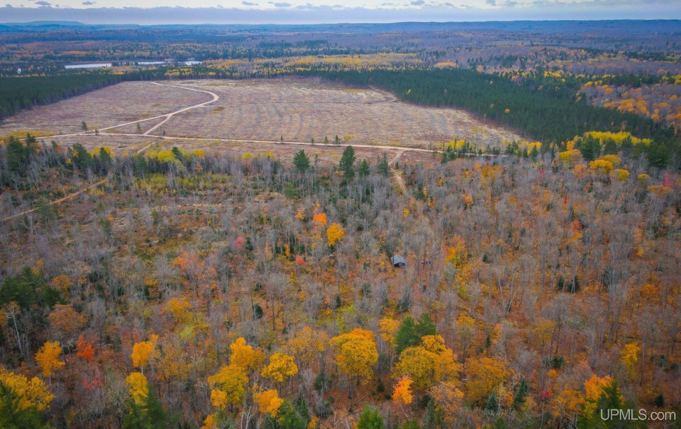 160-acres 160-acres Off Red Road Marquette, MI 49855 - Photo 3 of 4
