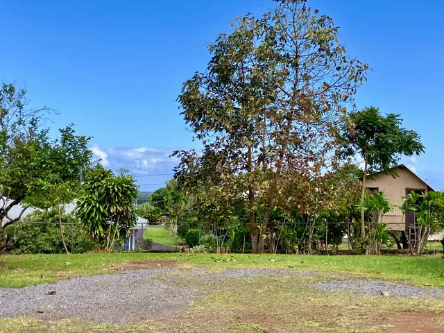 $739,000 | 49 Kuhilani Street, Hilo, HI 96720