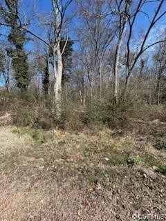 10236 Robious Road North Chesterfield, VA 23235 - Photo 2 of 5 Gallery Image 2