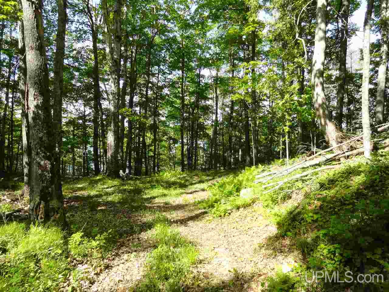 7202 Elm Road Republic, MI 49879 - Photo 23 of 36