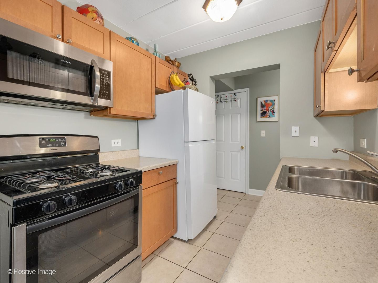 1000 South Lorraine Road, Unit 104 Wheaton, IL 60189 - Photo 11 of 21 Gallery Image 11