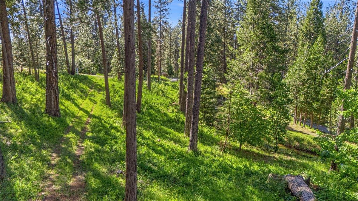 11021 Pittsburg Mine Road Nevada City, CA 95959 - Photo 7 of 36