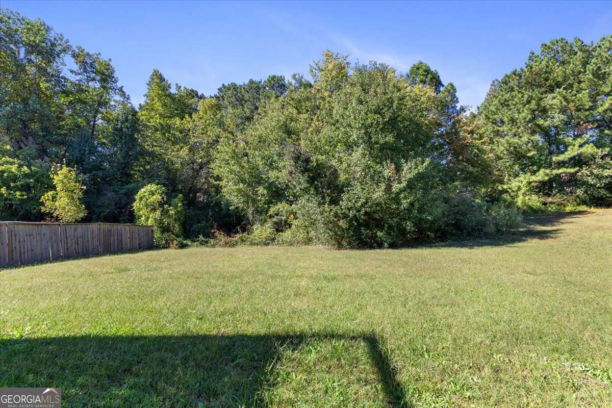 10571 Starling Trail Hampton, GA 30228 - Photo 35 of 35