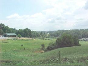 348 Ridgecrest Road, Unit 7 Jonesborough, TN 37659 - Photo 3 of 4 Photo 3