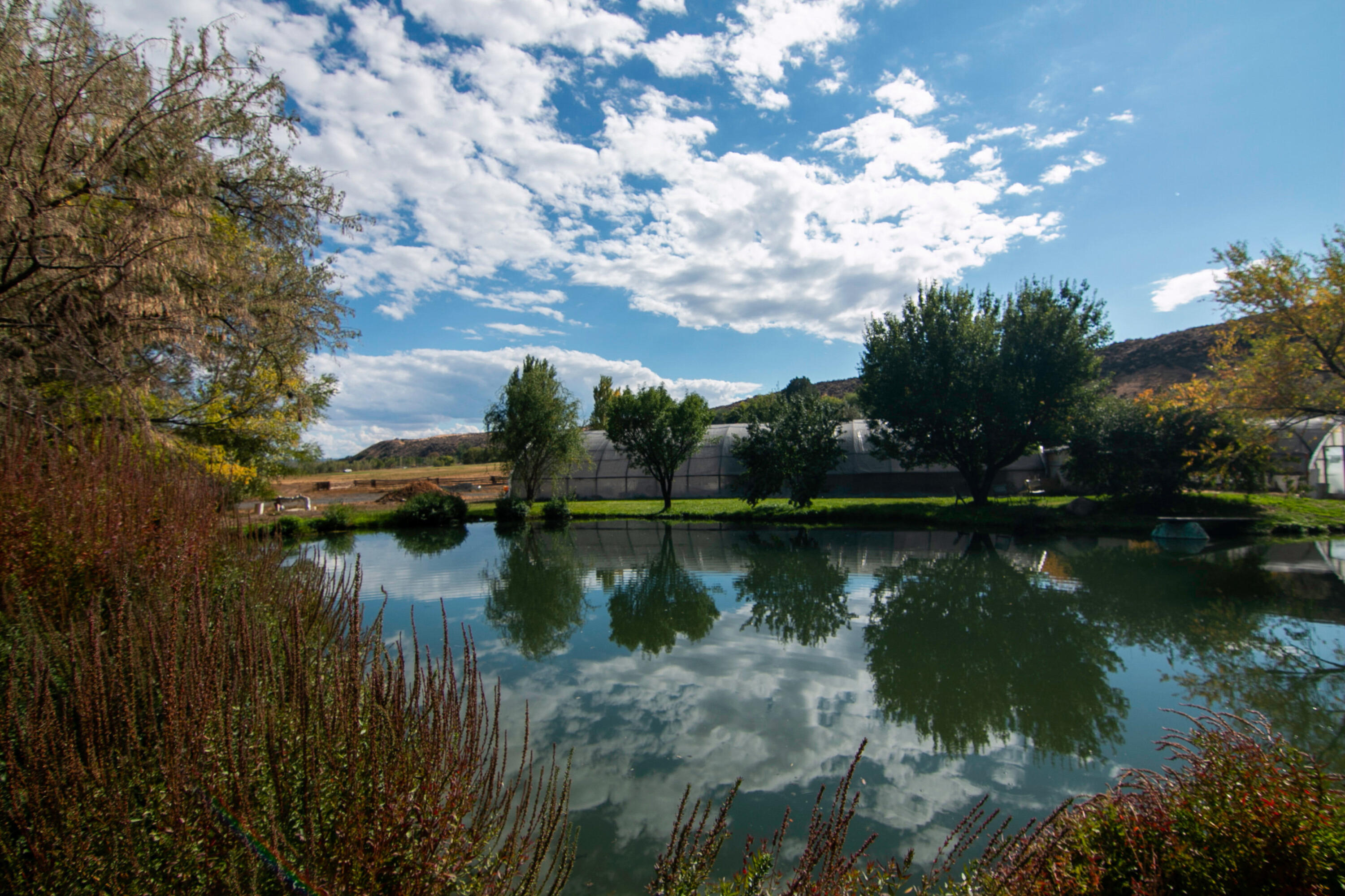 4799-a River Road Buhl, ID 83316 - Photo 4 of 43 004_058_mg_6669_780