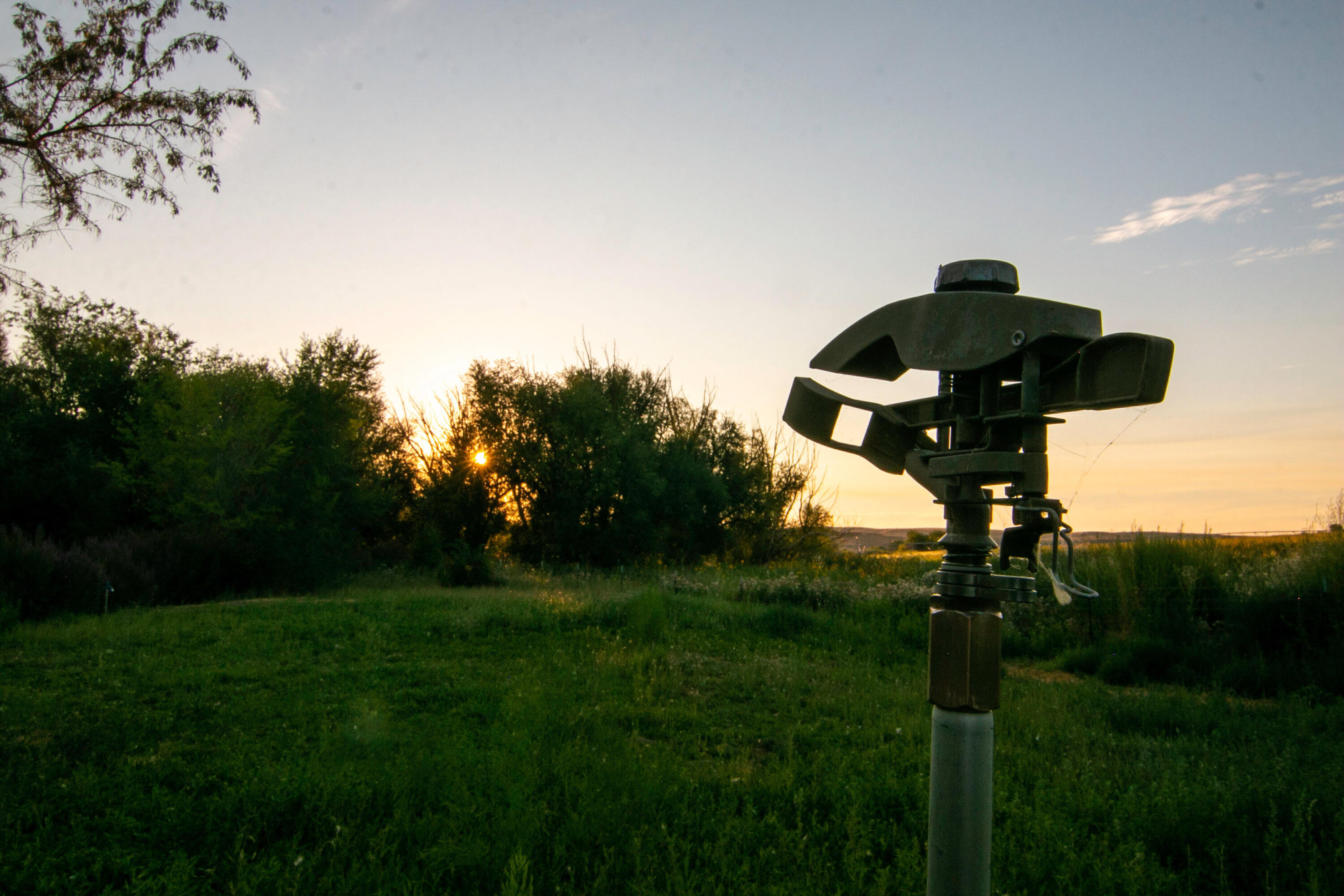 4799-a River Road Buhl, ID 83316 - Photo 43 of 43 043_069_99_mg_6016_195