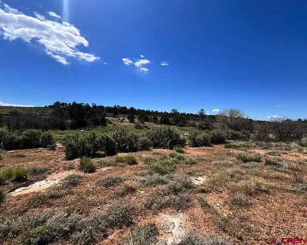 a view of outdoor space and city view