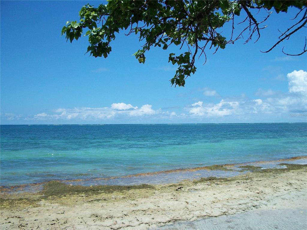 8 (mar), Unit D8 Fajardo, PR 00738 - Photo 94 of 94