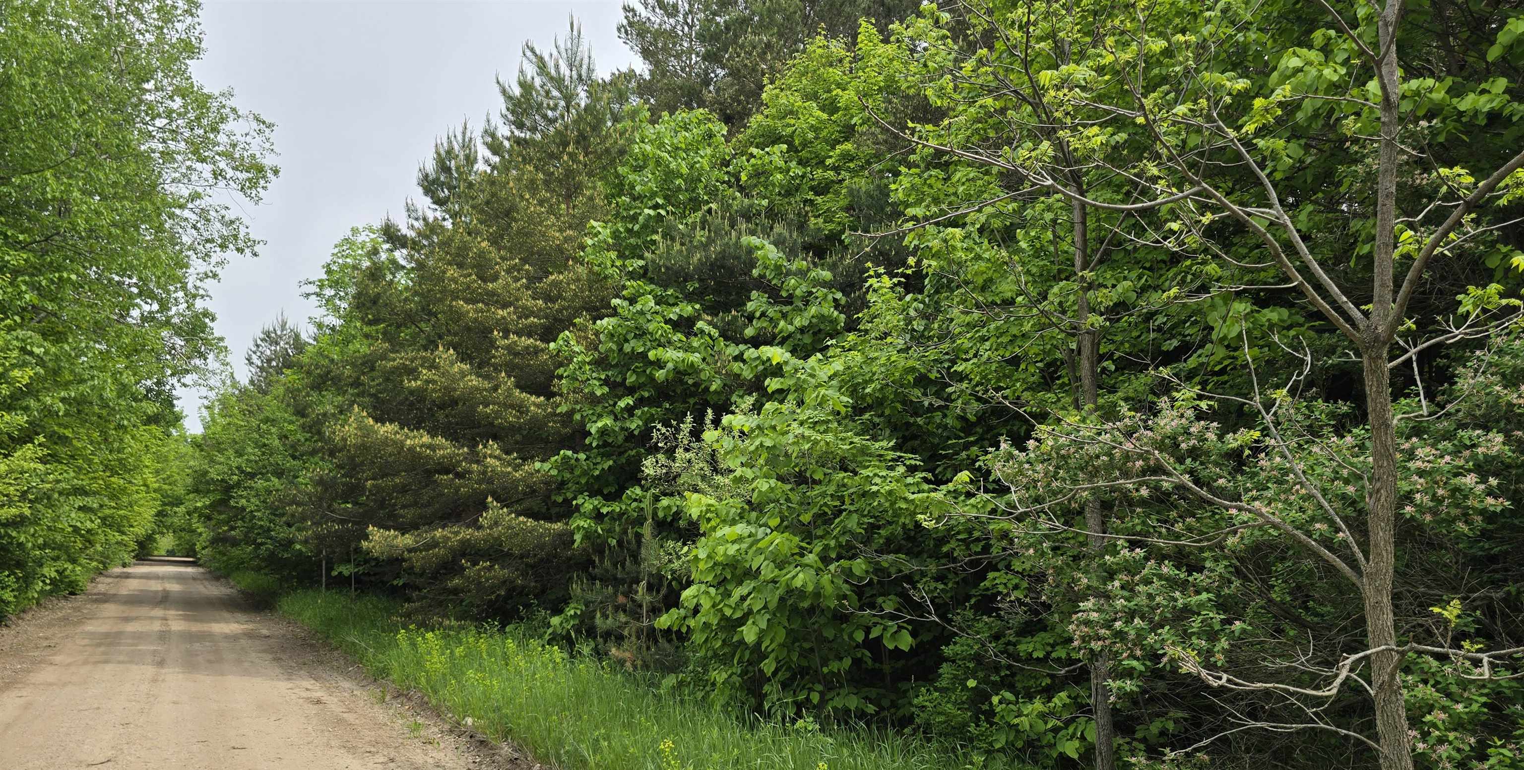 Lot 25 Hagni Road Kalkaska, MI 49646 - Photo 1 of 10 Gallery Image 1