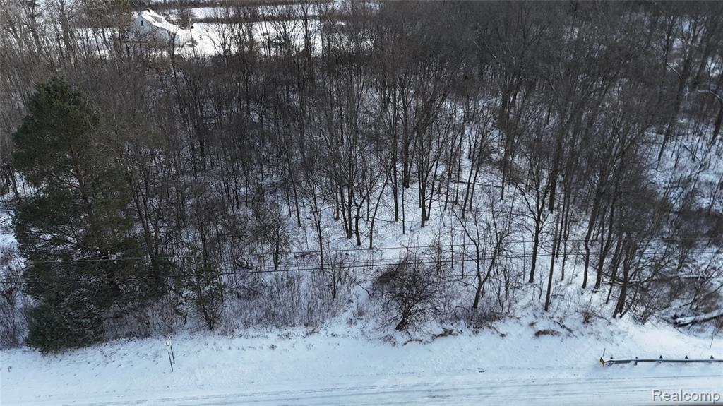 0 South State Road Davison, MI 48423 - Photo 8 of 16