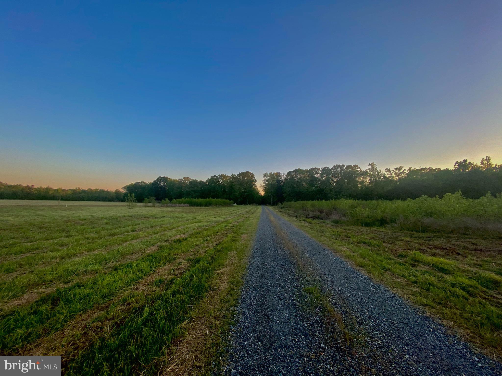 Lot 1 Mathias Point Road King George, VA 22485 - Photo 5 of 30
