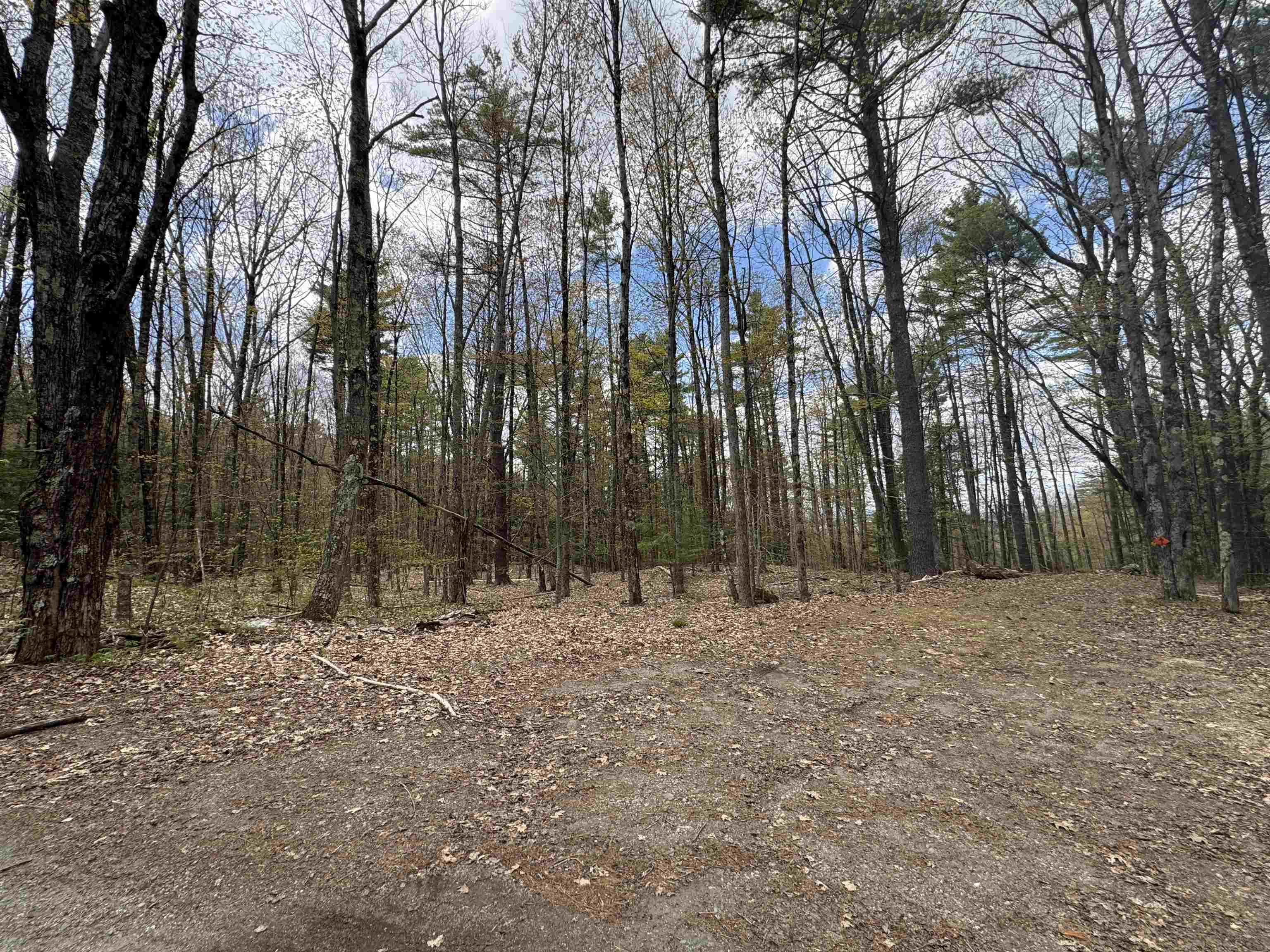 0 Esty Road Westmoreland, NH 03467 - Photo 3 of 4
