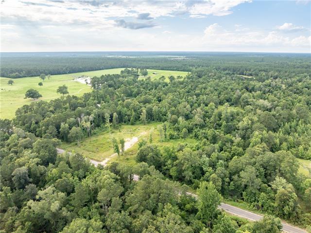 867 Claude Kelly Road Deridder, LA 70634 - Photo 3 of 9