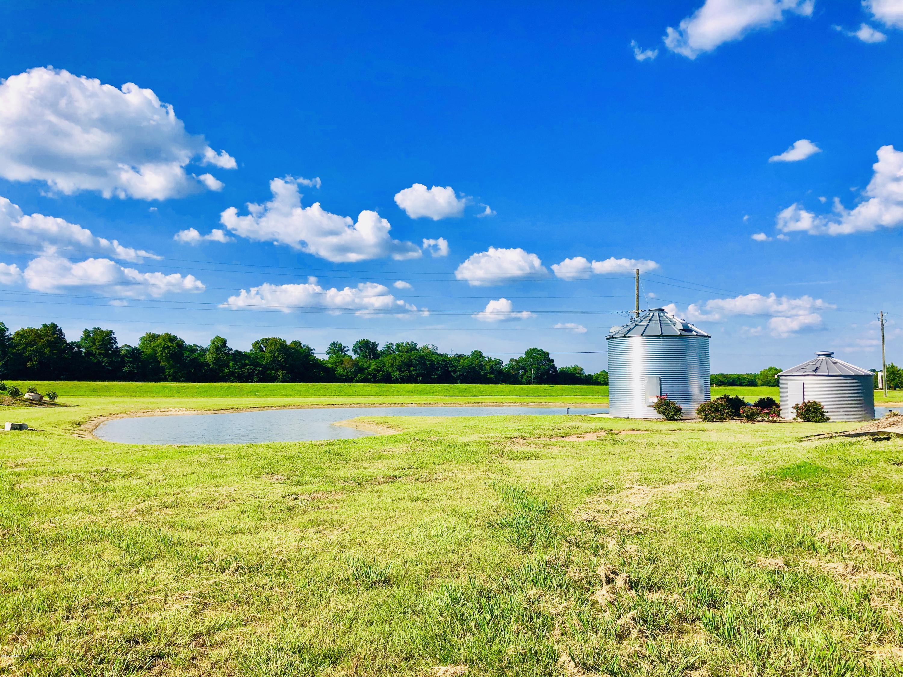 112 Barnyard Way Perry, GA 31069 - Photo 32 of 33 fullsizeoutput_4923