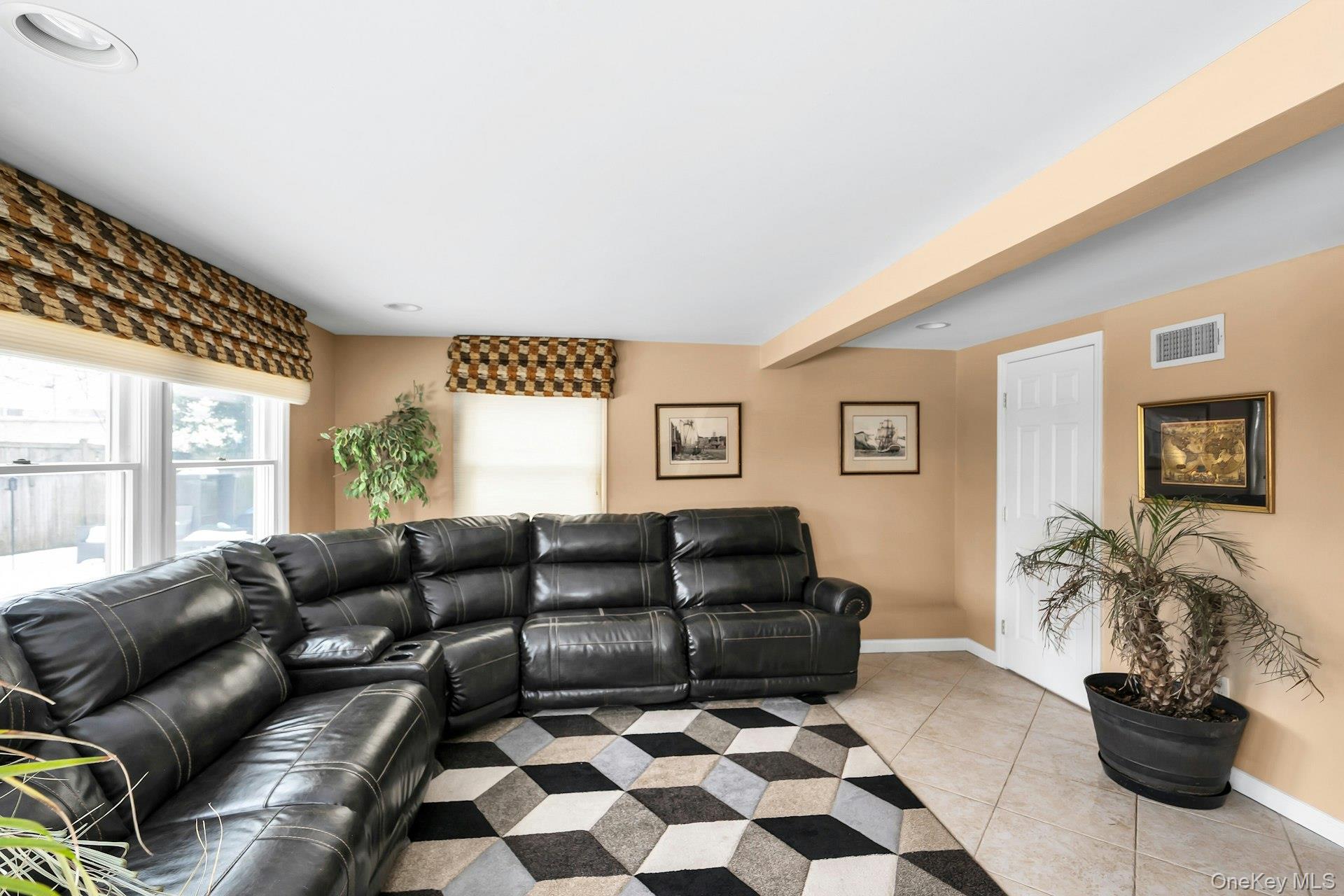 2043 Ripley Lane Merrick, NY 11566 - Photo 9 of 42 a living room with a couch and a potted plant
