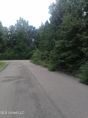 $35,000 | 0 Absalom Cove, Terry, MS 39170