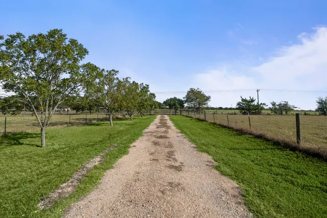 a view of a park with large trees