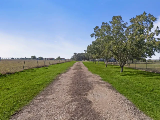 a view of a park with large trees