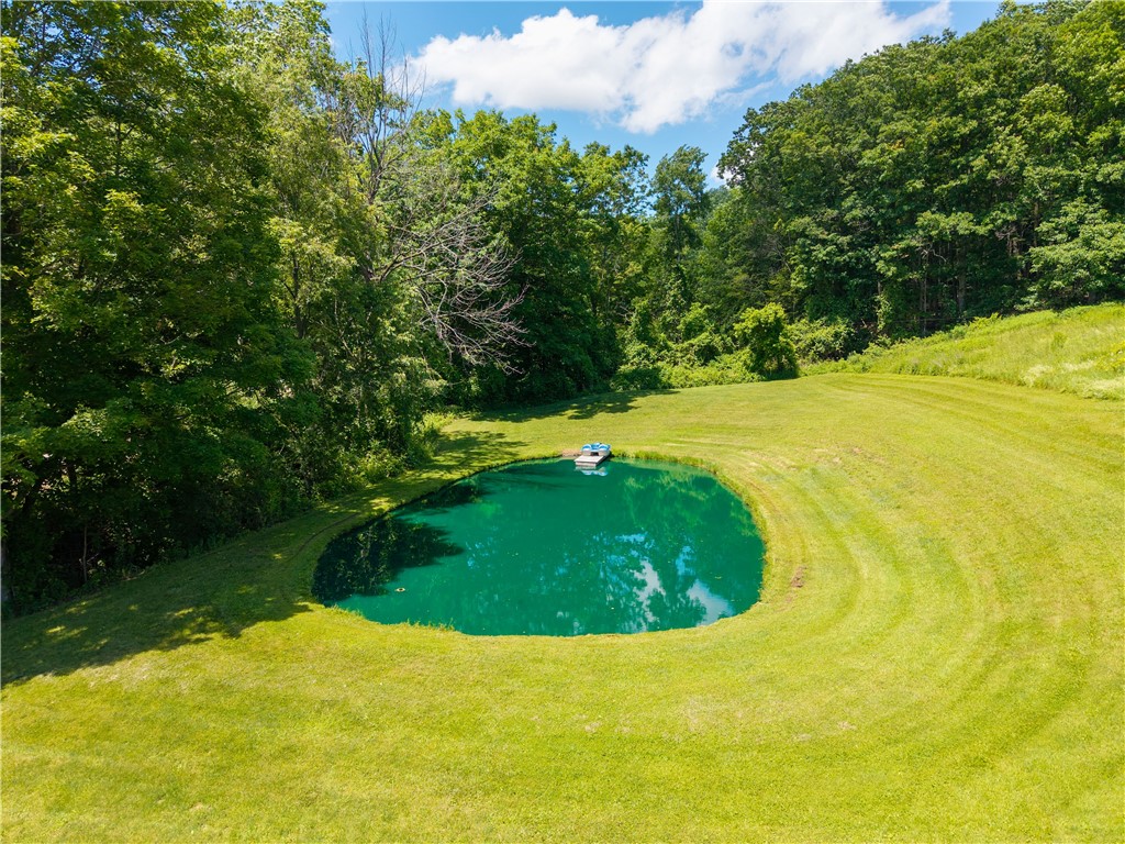 8636 Oak Hill Road Dansville, NY 14807 - Photo 48 of 50
