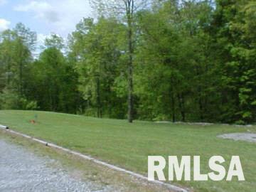 2990 Friendship School Road Anna, IL 62906 - Photo 4 of 7 Gallery Image 4