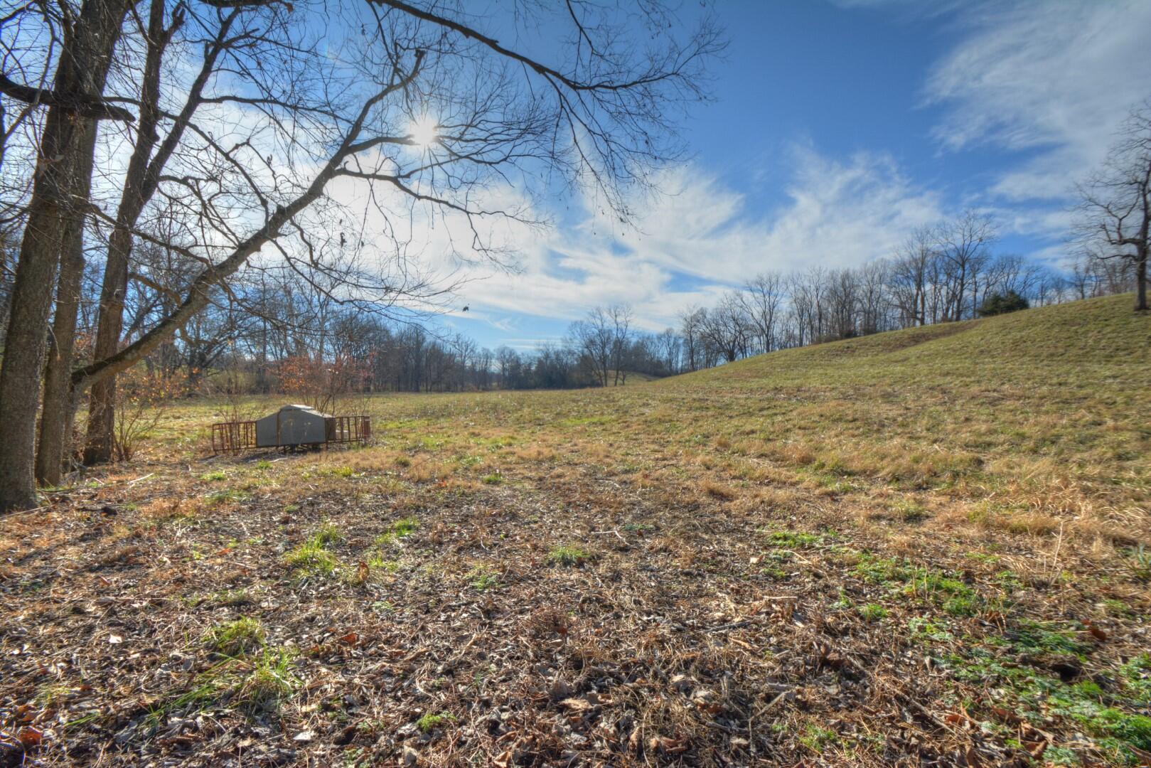 2926 Cummins Ferry Road Versailles, KY 40383 - Photo 30 of 42 View of back field from creek crossing