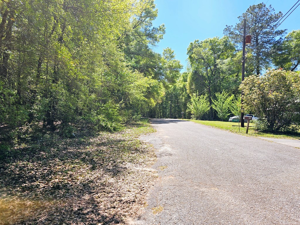 0 Reyes Strasse Ozark, AL 36360 - Photo 4 of 6