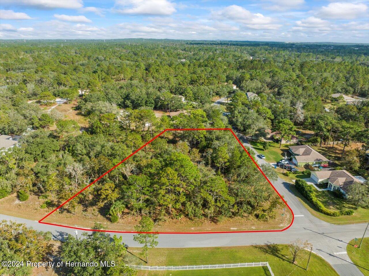 12078 Lark Sparrow Road Brooksville, FL 34614 - Photo 1 of 20 a view of a yard with a wooden fence