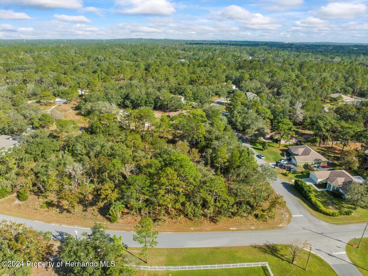 12078 Lark Sparrow Road Brooksville, FL 34614 - Photo 12 of 20 a view of a yard